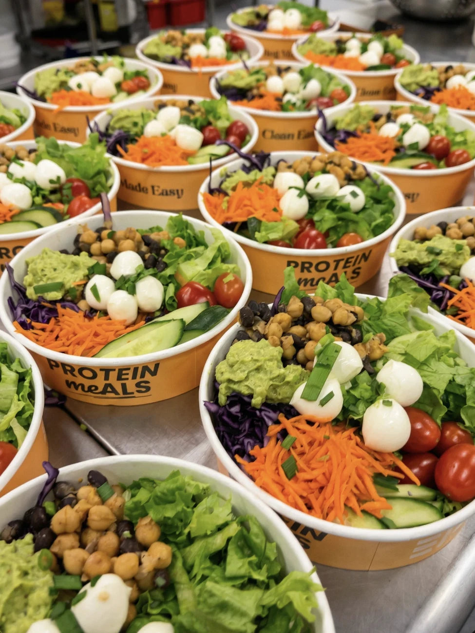 Protein Meals bowls
